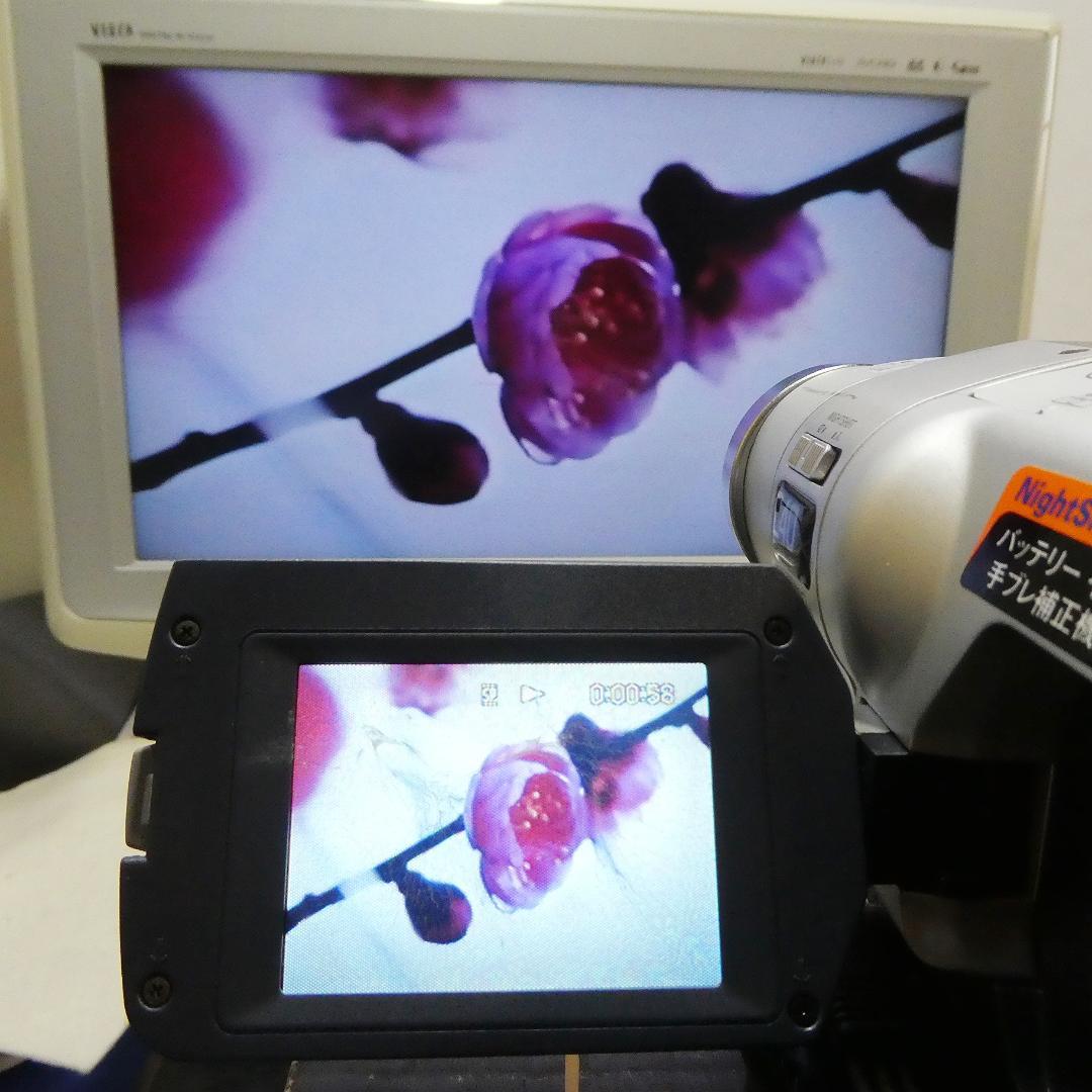 ソニーCCD-TRV106【動作良好】VideoHi8ビデオカメラダビングに最適