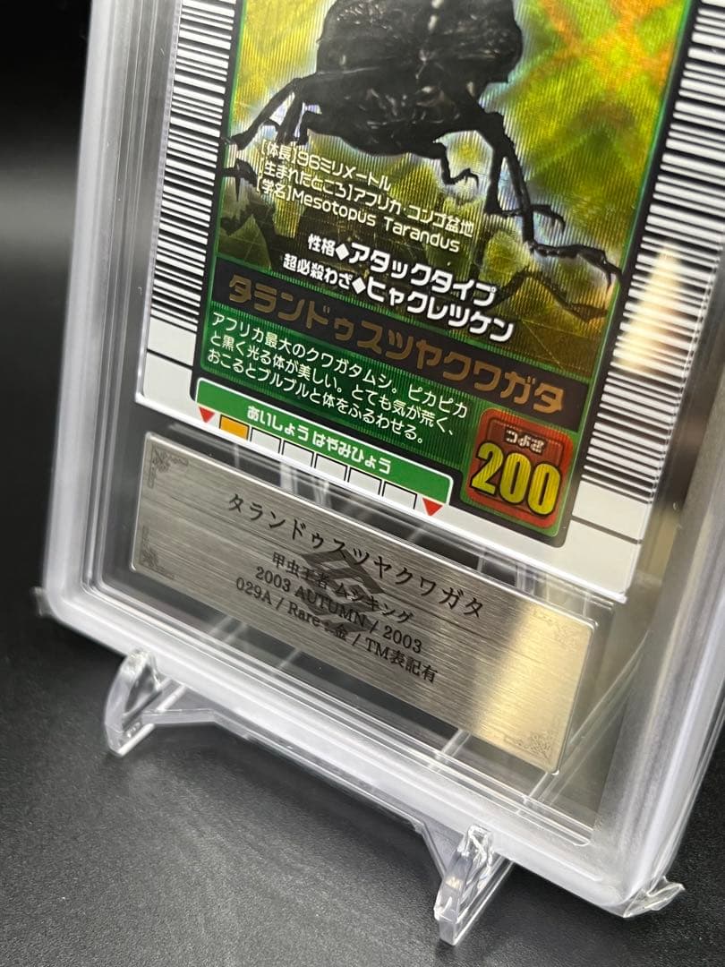 ムシキング　2003 秋　タランドゥスツヤクワガタ　ARS鑑定品　grade9