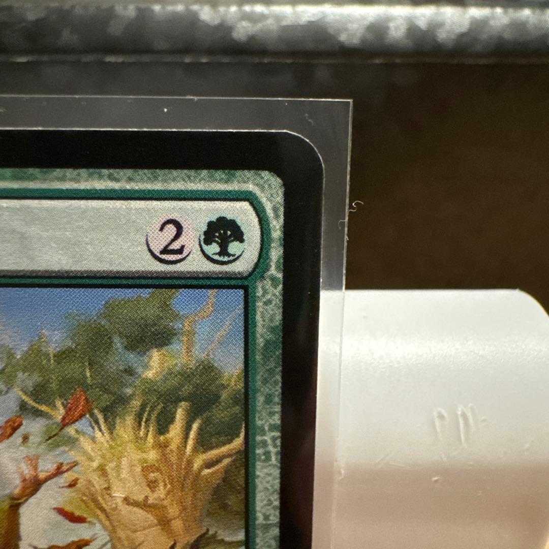MTG 並外れた語り部　Formidable Speaker
