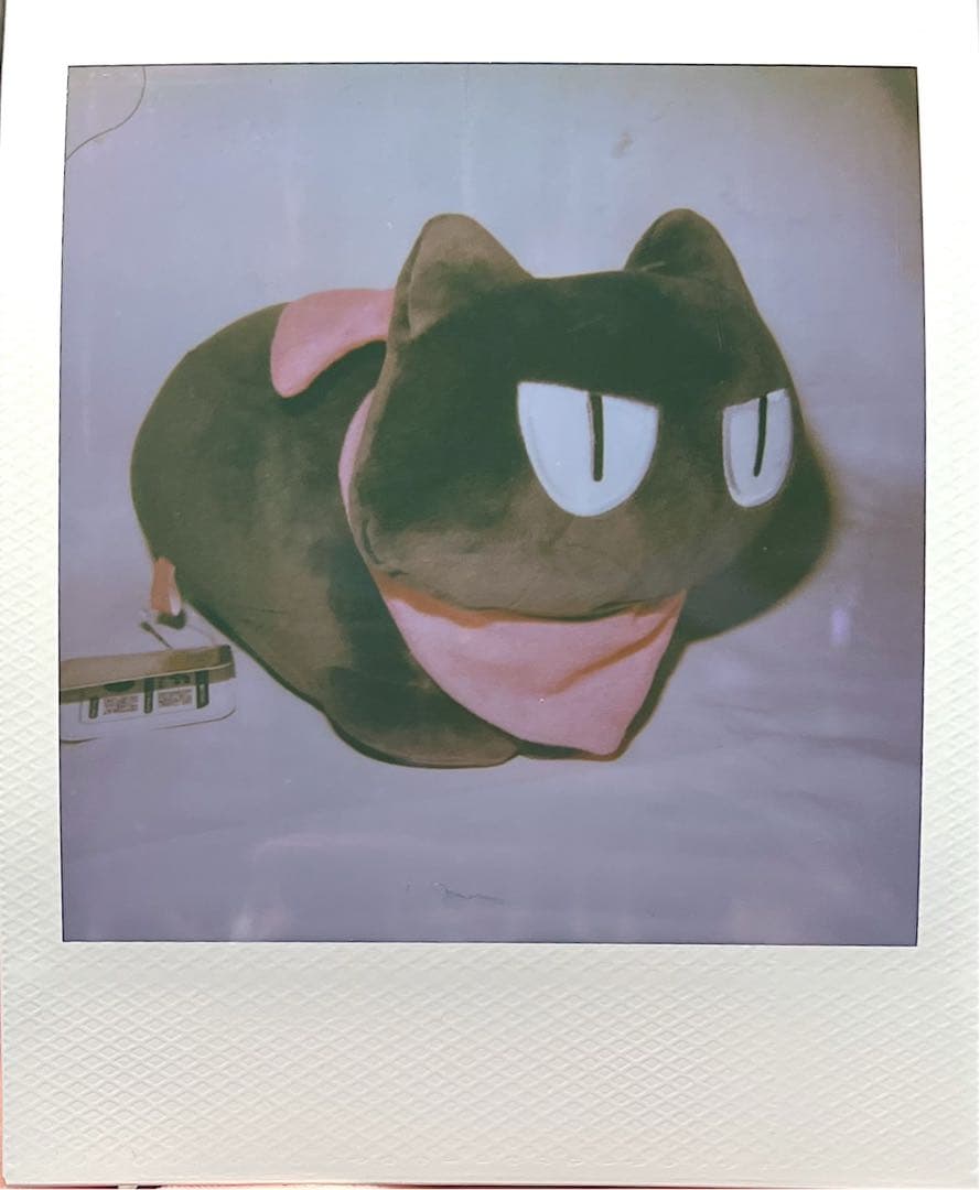 Polaroid 690 動作確認済み