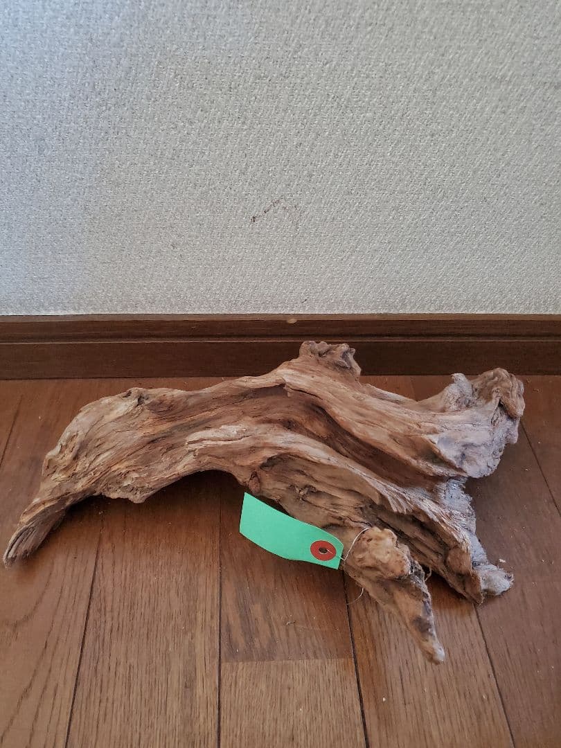 源流木　セット　571
