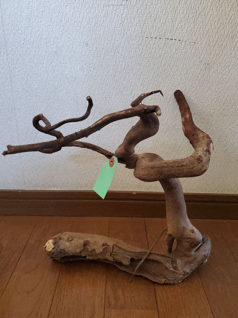 源流木　セット　571