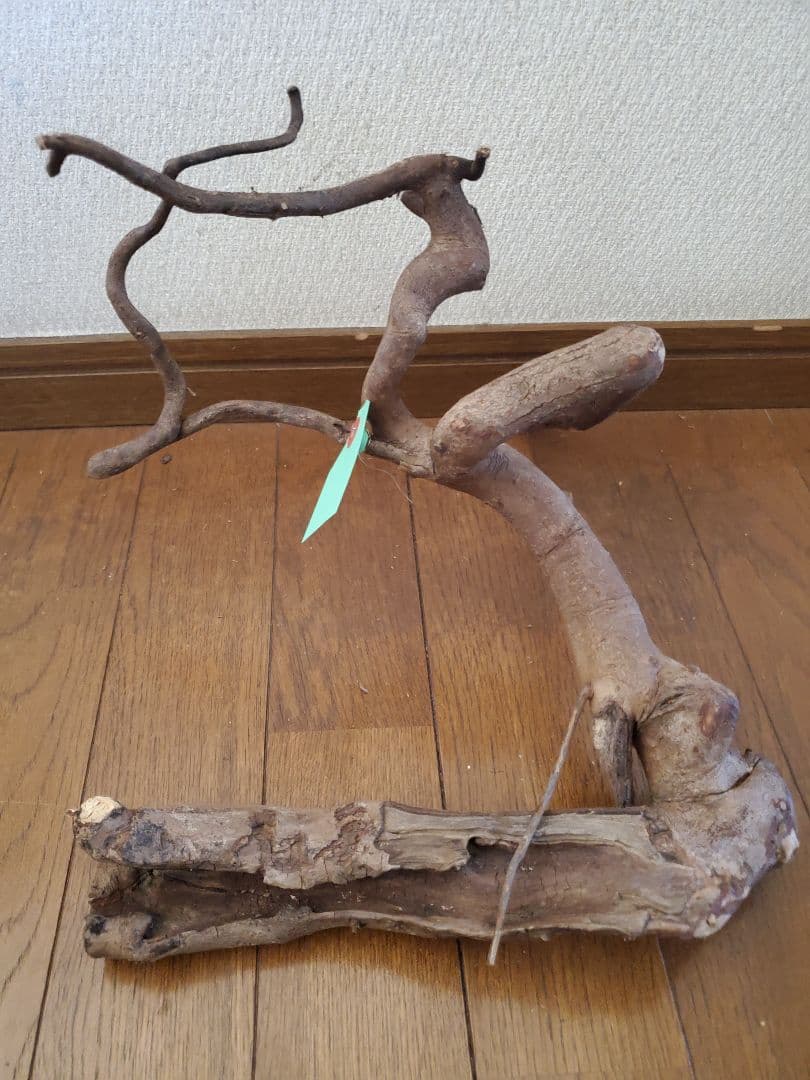 源流木　セット　571