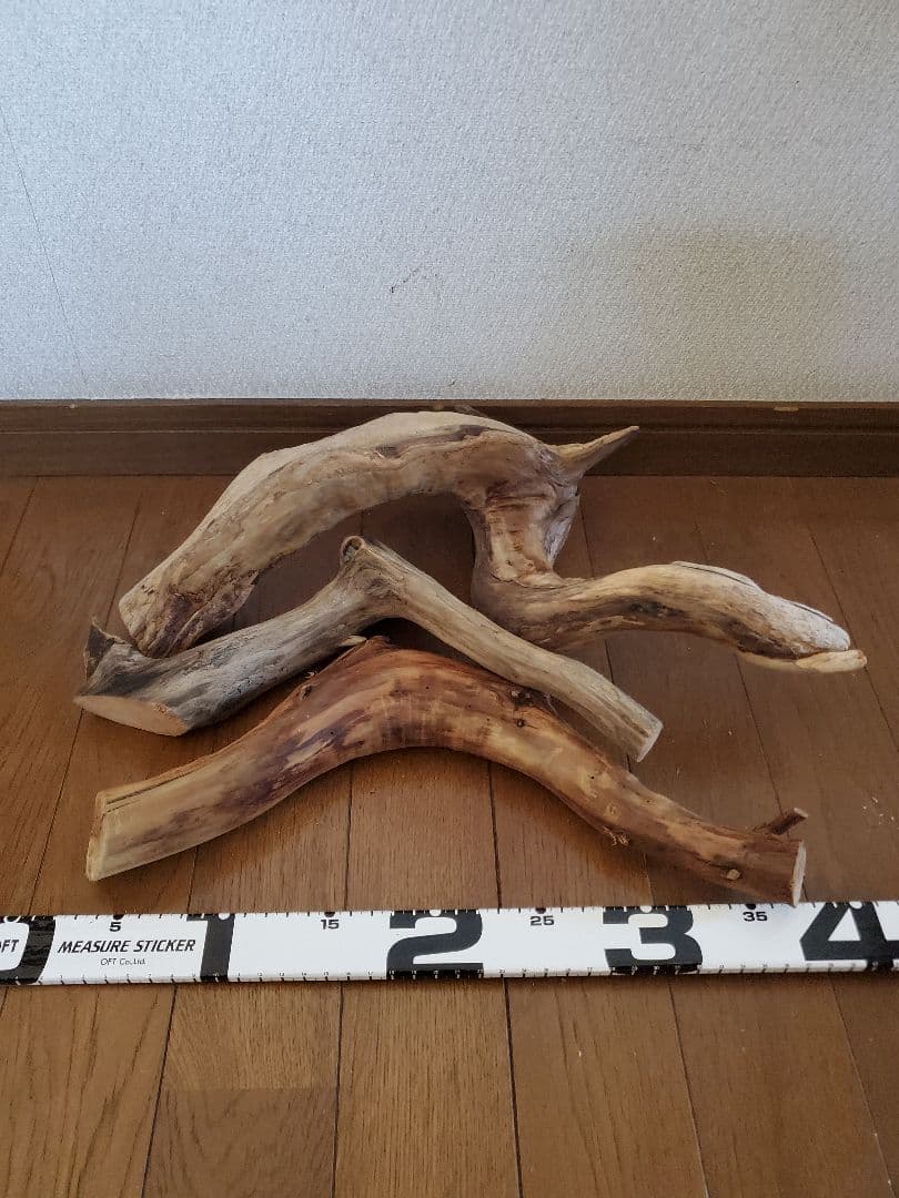 源流木　セット　571