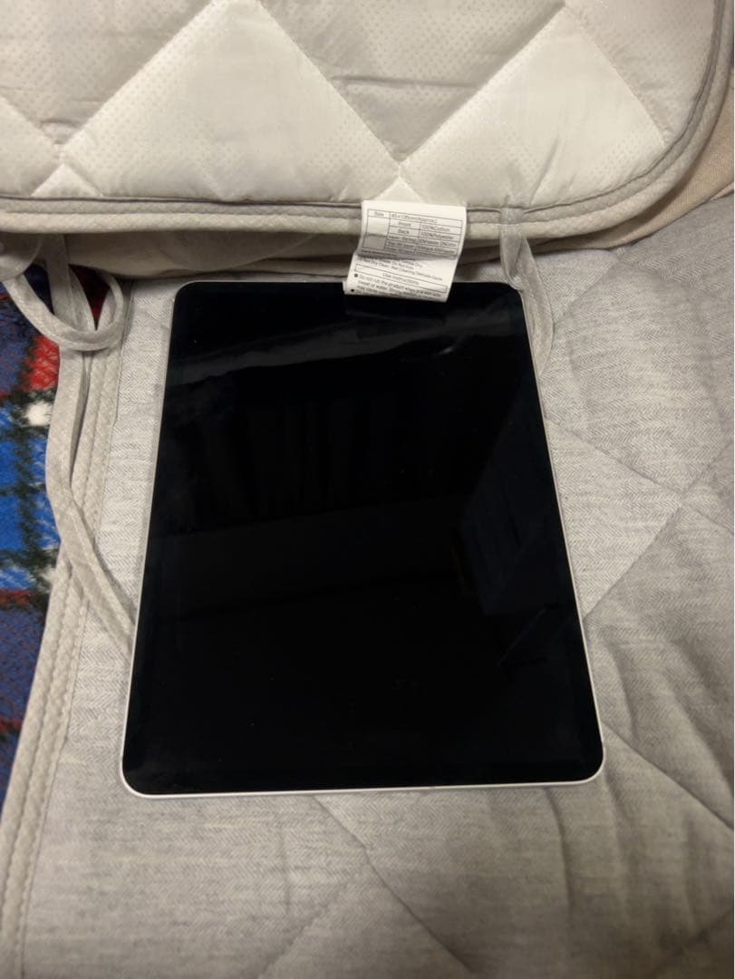 超美品 Apple iPad pro 第1世代 11inch