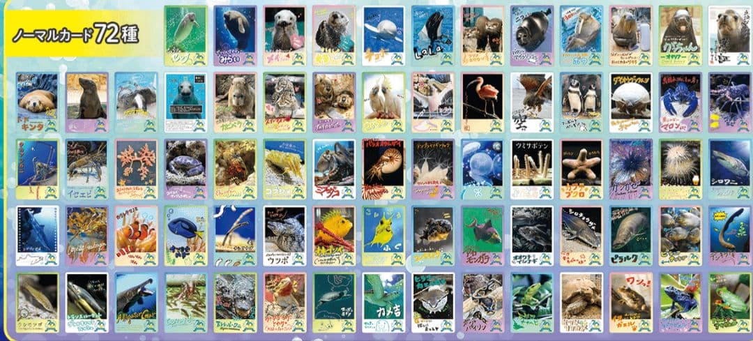 鳥羽水族館 コレクションカード ノーマルカード 全72種 コンプリート