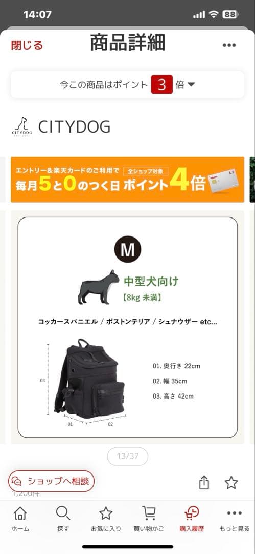 CITYDOG バックパックキャリー モカM