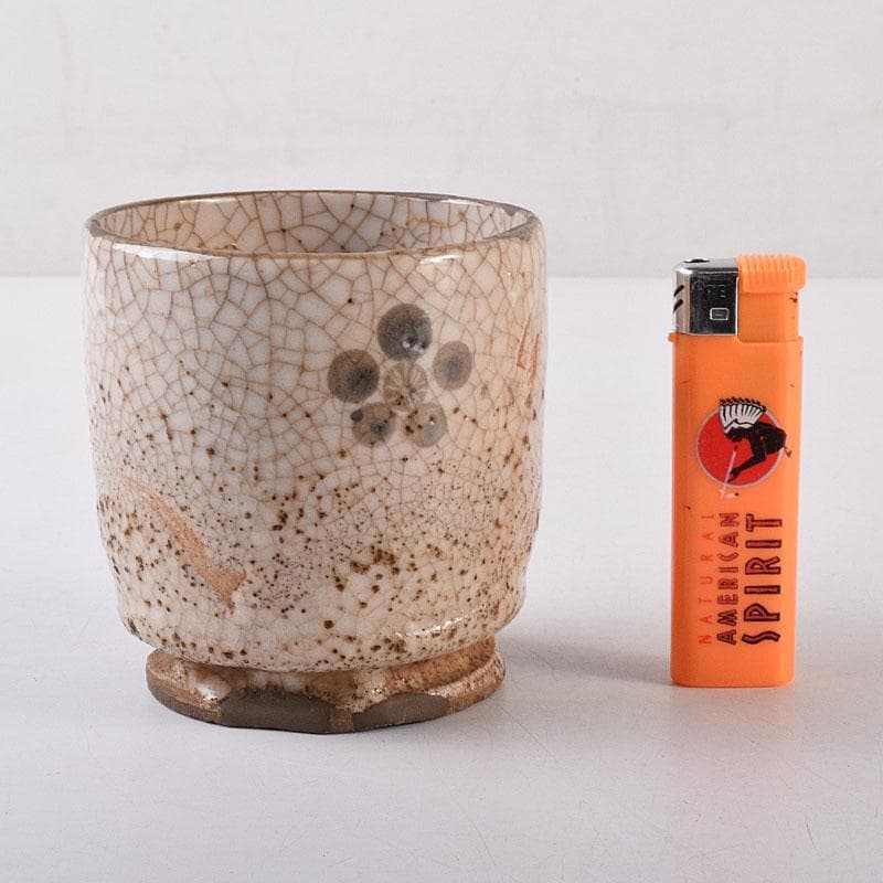 茶道具　古志野　梅絵図　茶碗　時代箱　V　R8652