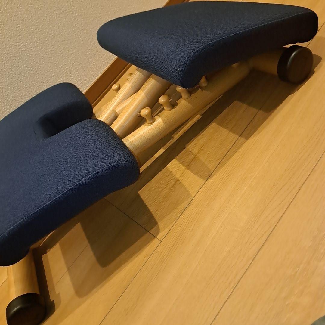☆極美品☆ STOKKE VARIER ストッケ ヴァリエール マルチバランス