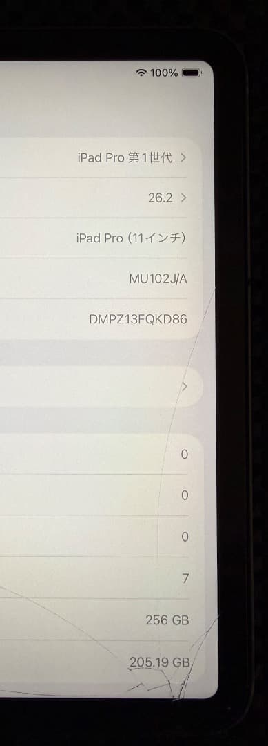 iPad pro 11インチ 第1世代 256GB Cellular