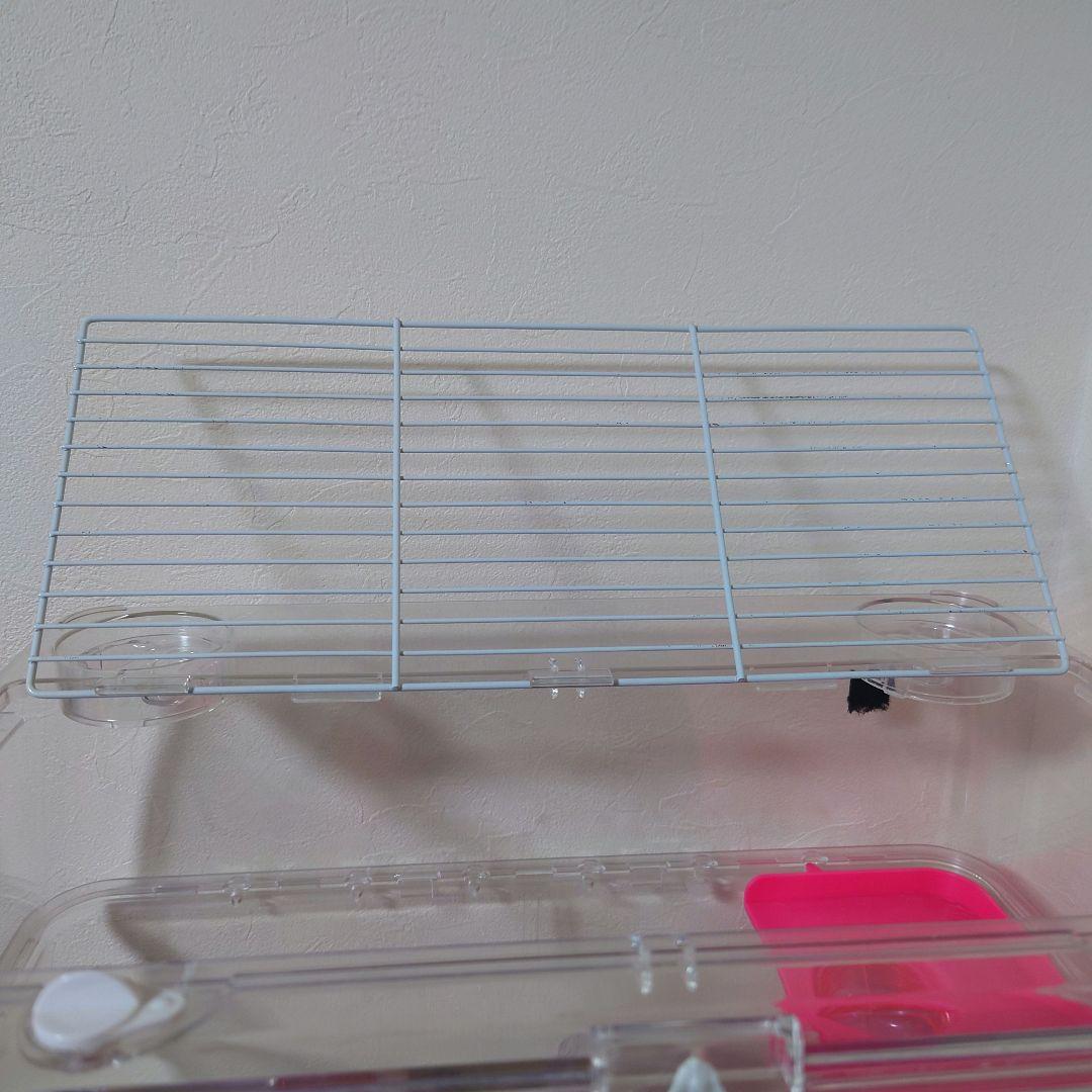 飼育セット②