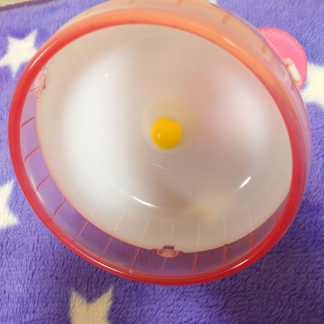 飼育セット②