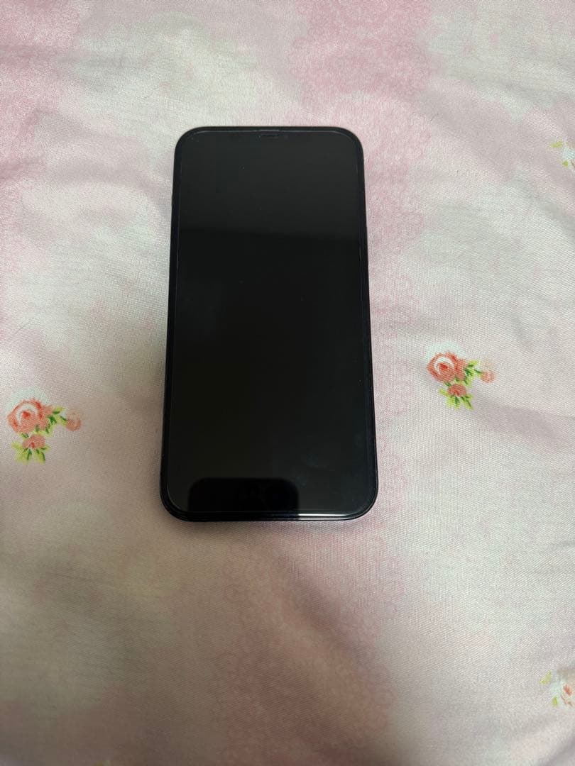 美品　Apple iPhone 12 Pro Max 256GB SIMフリー
