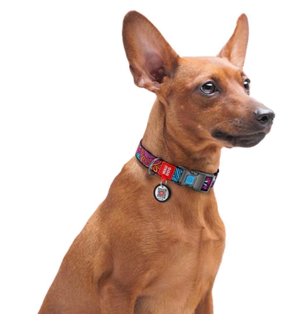 WAUDOG　QRパスポート付きナイロン製犬用首輪　リード　「サマー」