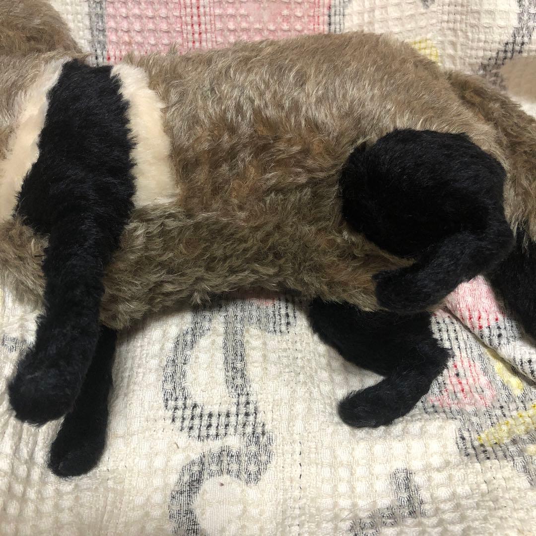 TOMO BEAR テディベア作家　TOMOKO FURUYA タヌキ　中古品