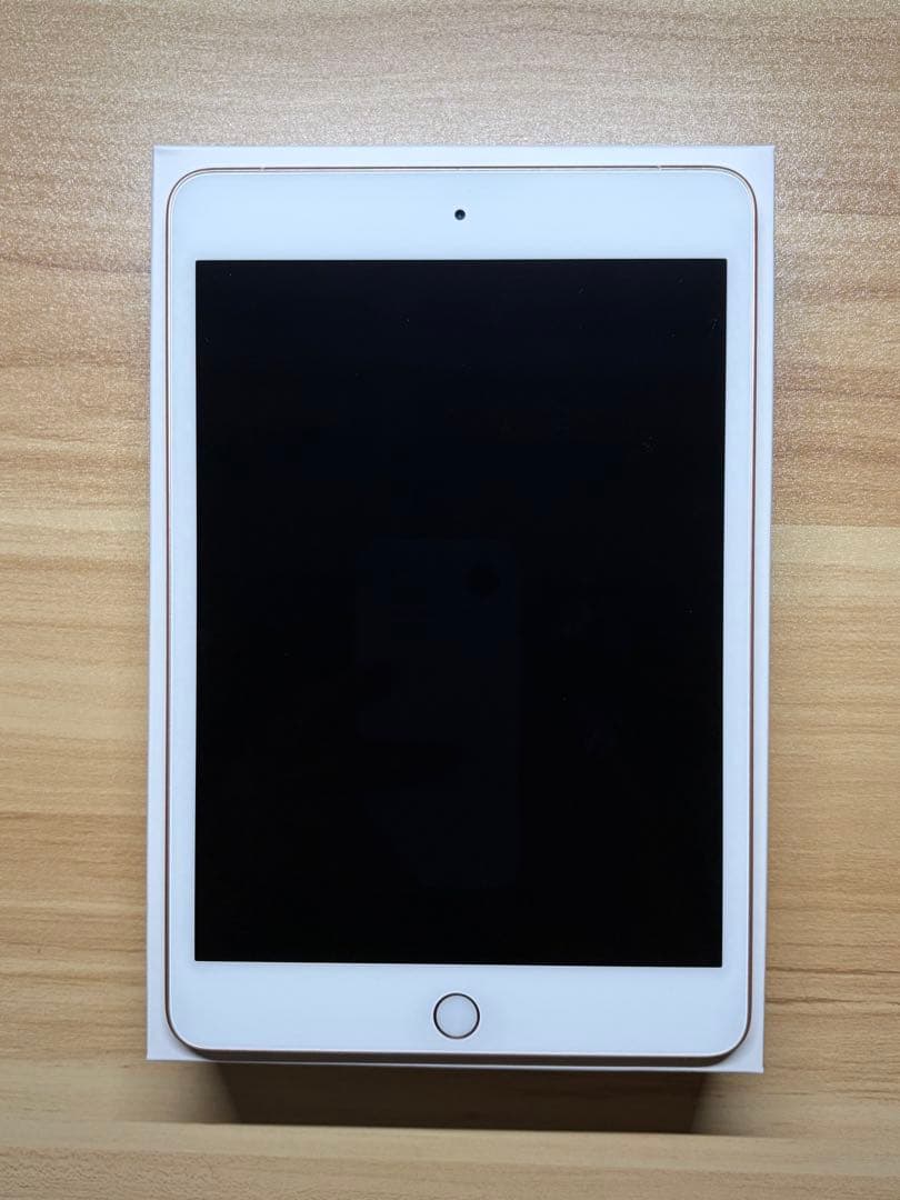 iPad mini 第5世代 64GB SIMフリー 美品