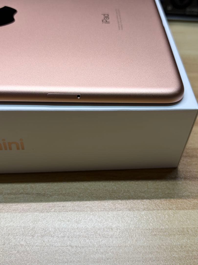 iPad mini 第5世代 64GB SIMフリー 美品