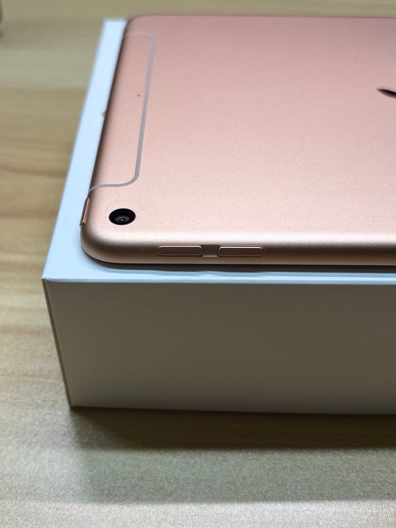 iPad mini 第5世代 64GB SIMフリー 美品