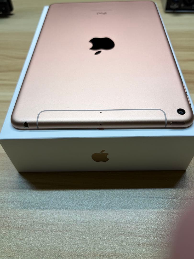 iPad mini 第5世代 64GB SIMフリー 美品