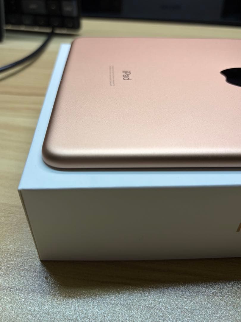 iPad mini 第5世代 64GB SIMフリー 美品