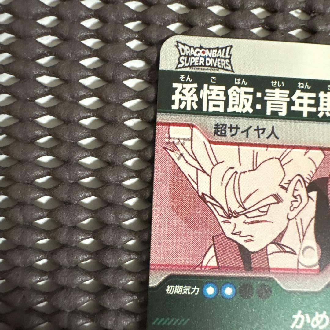 Apt-009 孫悟飯青年期