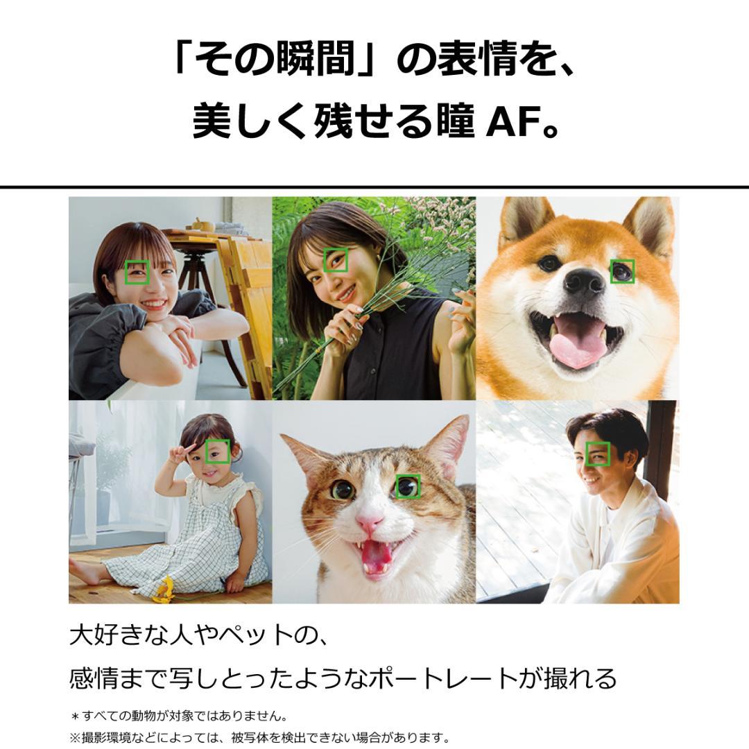 5275スマホ Xperia 5 IV SO-54C SIMフリーパープル超美品