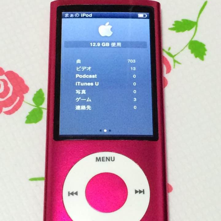 iPod nano アイポッドナノ第5世代16GB A1320