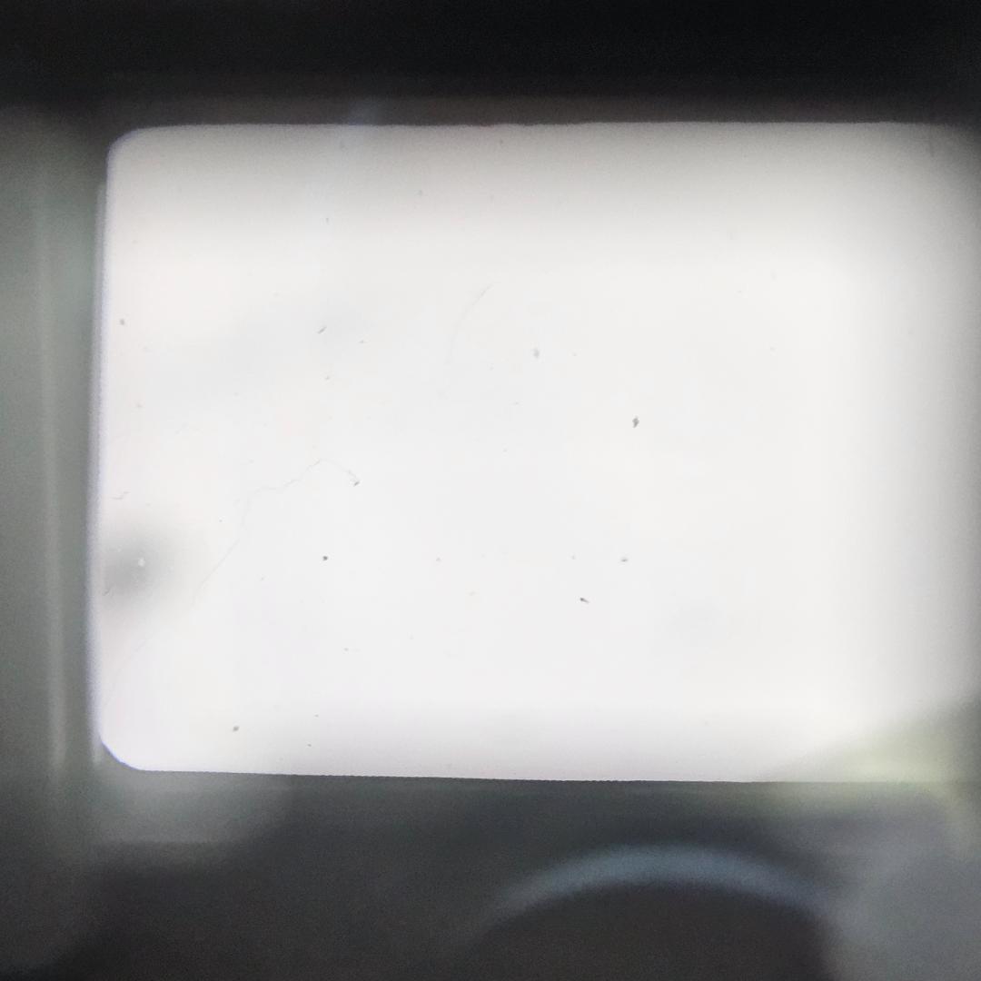 ✨【レトロ】MINOLTA Auto Focus Tele フィルムカメラ✨