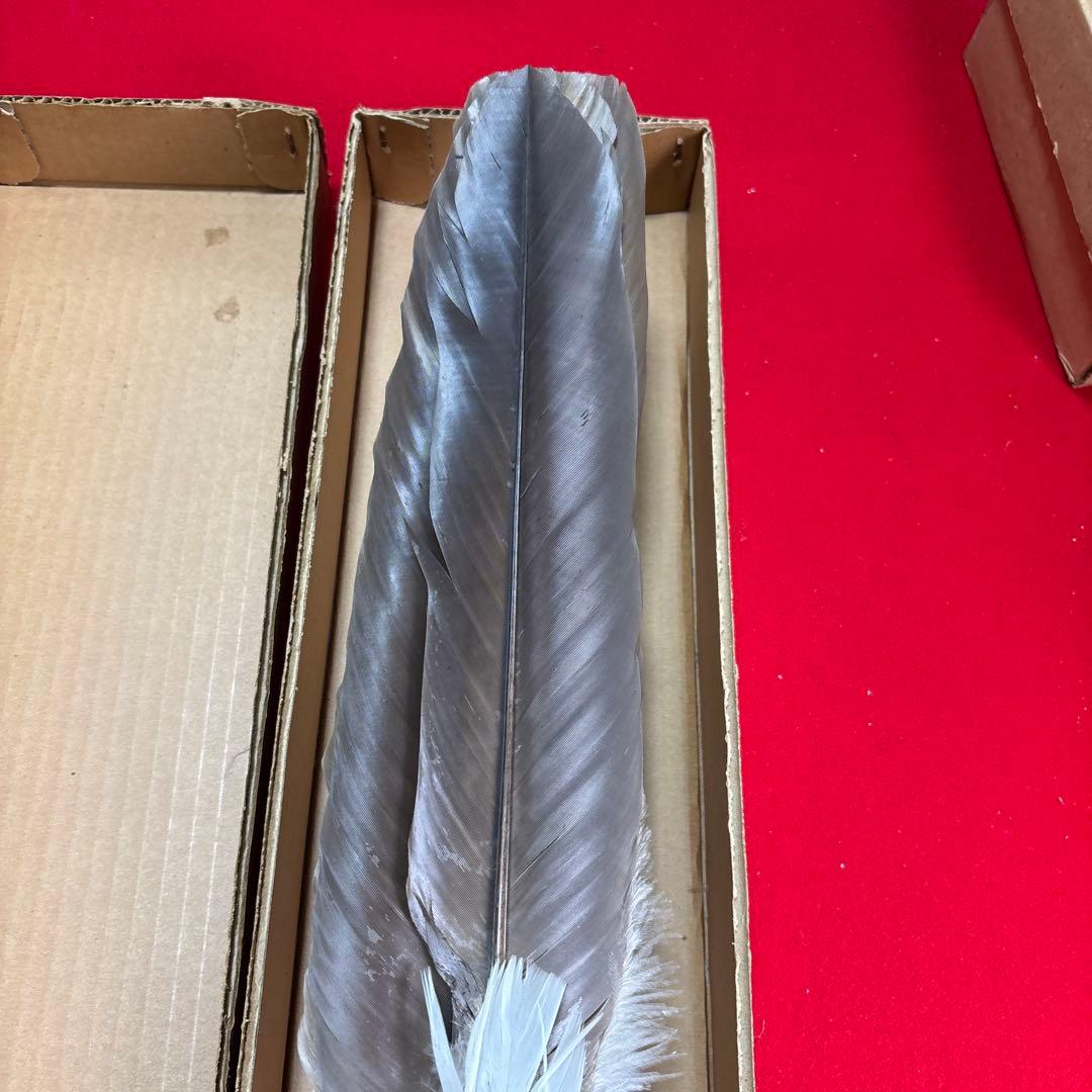 茶道具座掃長さ48cm 茶道具道具 座箒長期保管品』