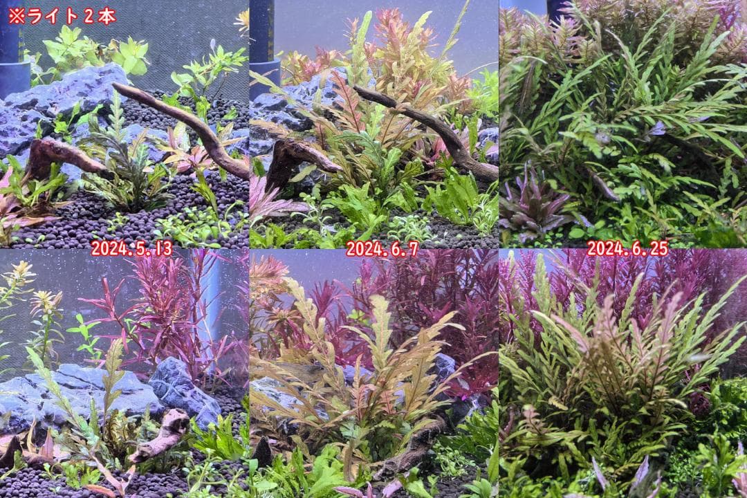 2本★水草育成ライト 高輝度 LED水槽ライト 60cm水槽対応A2272