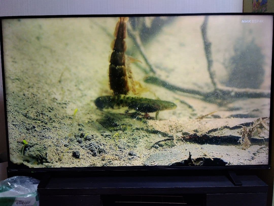 テレビ TOSHIBA REGZA 55C340X