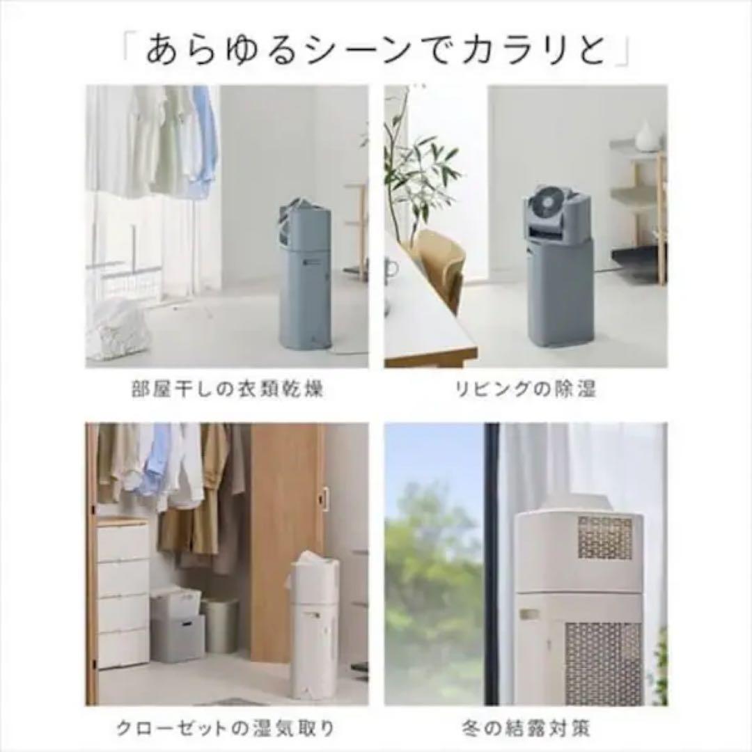 【サーキュレーター衣類乾燥除湿機】 アイリスオーヤマ IJDC-P60-AH