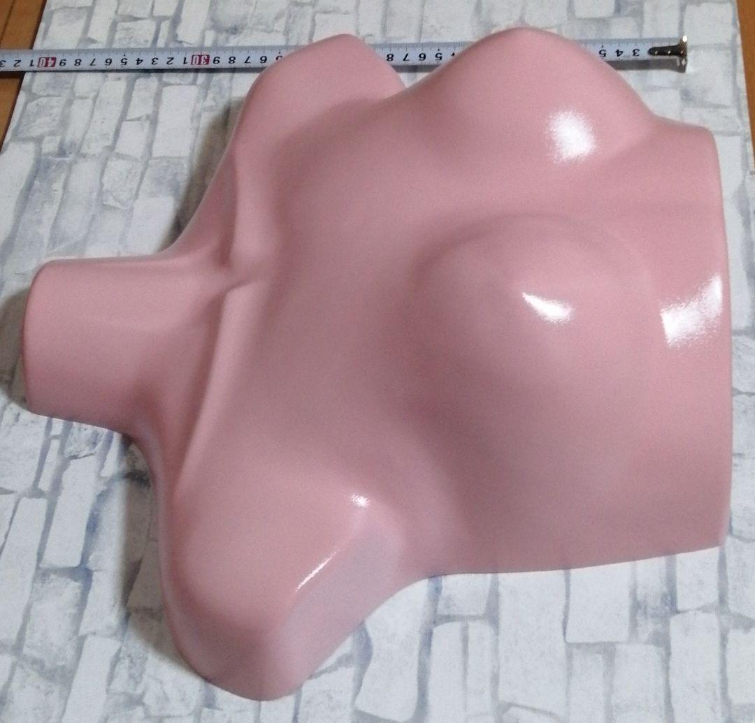 美品 ハーフトルソー マネキン ボディ レディース ピンク&ライトブルー セット