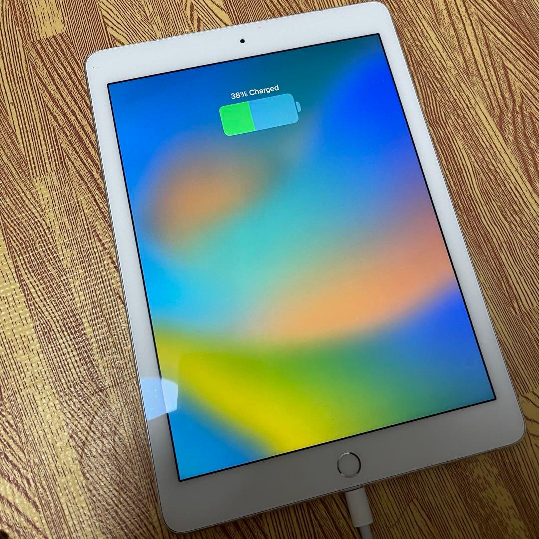 マ*ー様 iPad Pro 9.7inch 32GB wifi+celluler