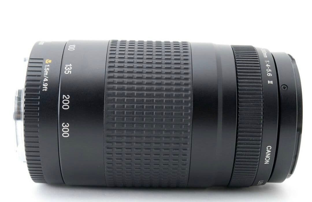 2月9日限定特価♪【超望遠レンズ】Canon EF 75-300mm Ⅱ