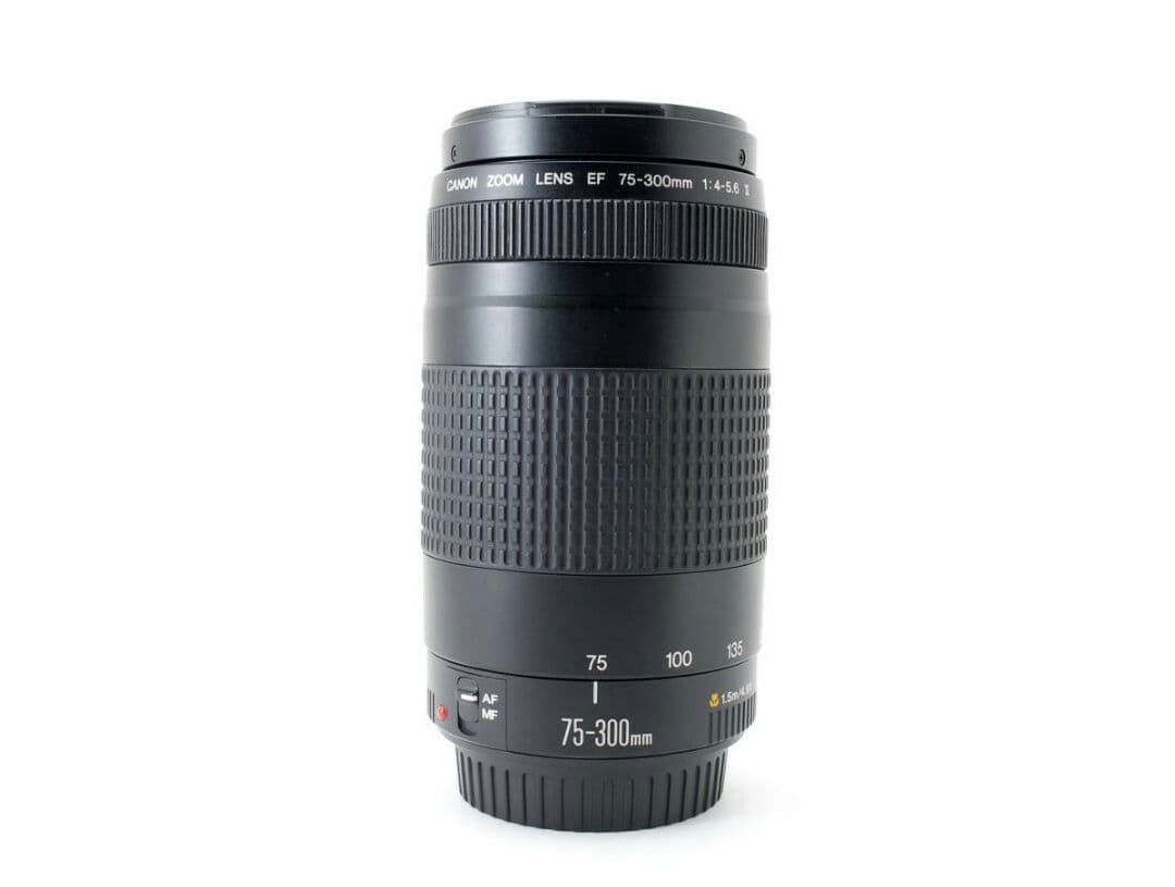 2月9日限定特価♪【超望遠レンズ】Canon EF 75-300mm Ⅱ
