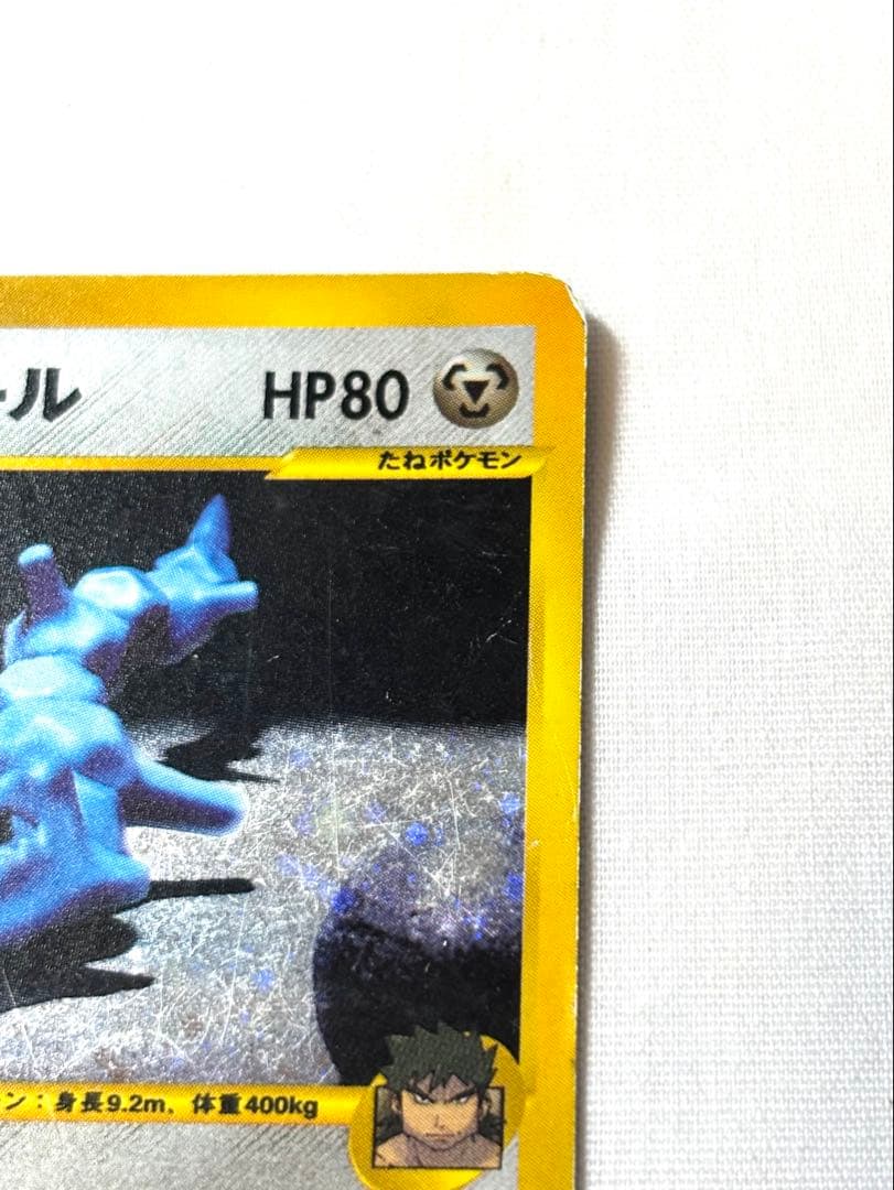 傷汚れあり素人保管⭐︎シバのハガネール ポケモンカード
