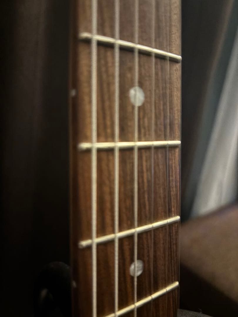 Schecter ストラト OL-ST DBL