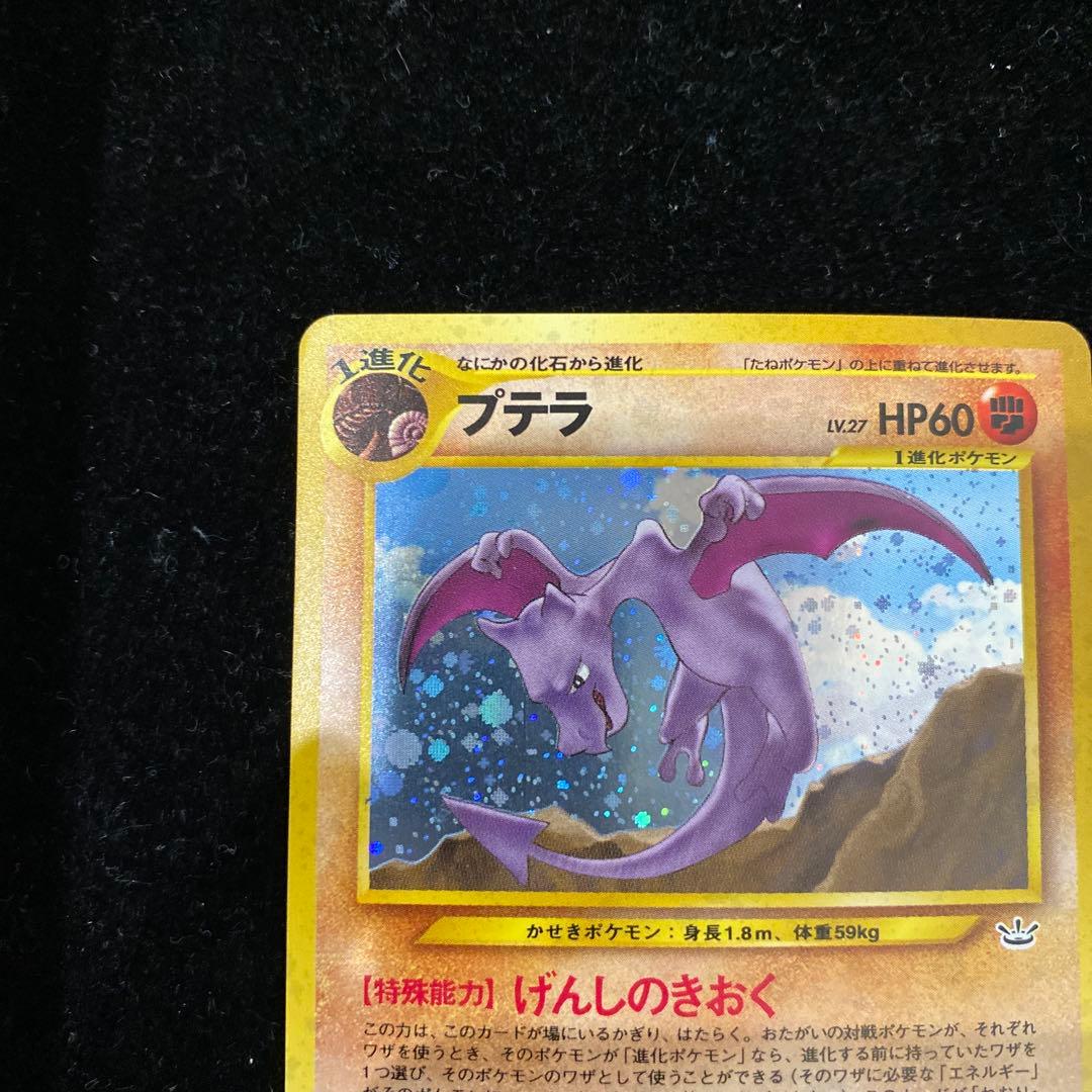 プテラ　旧裏