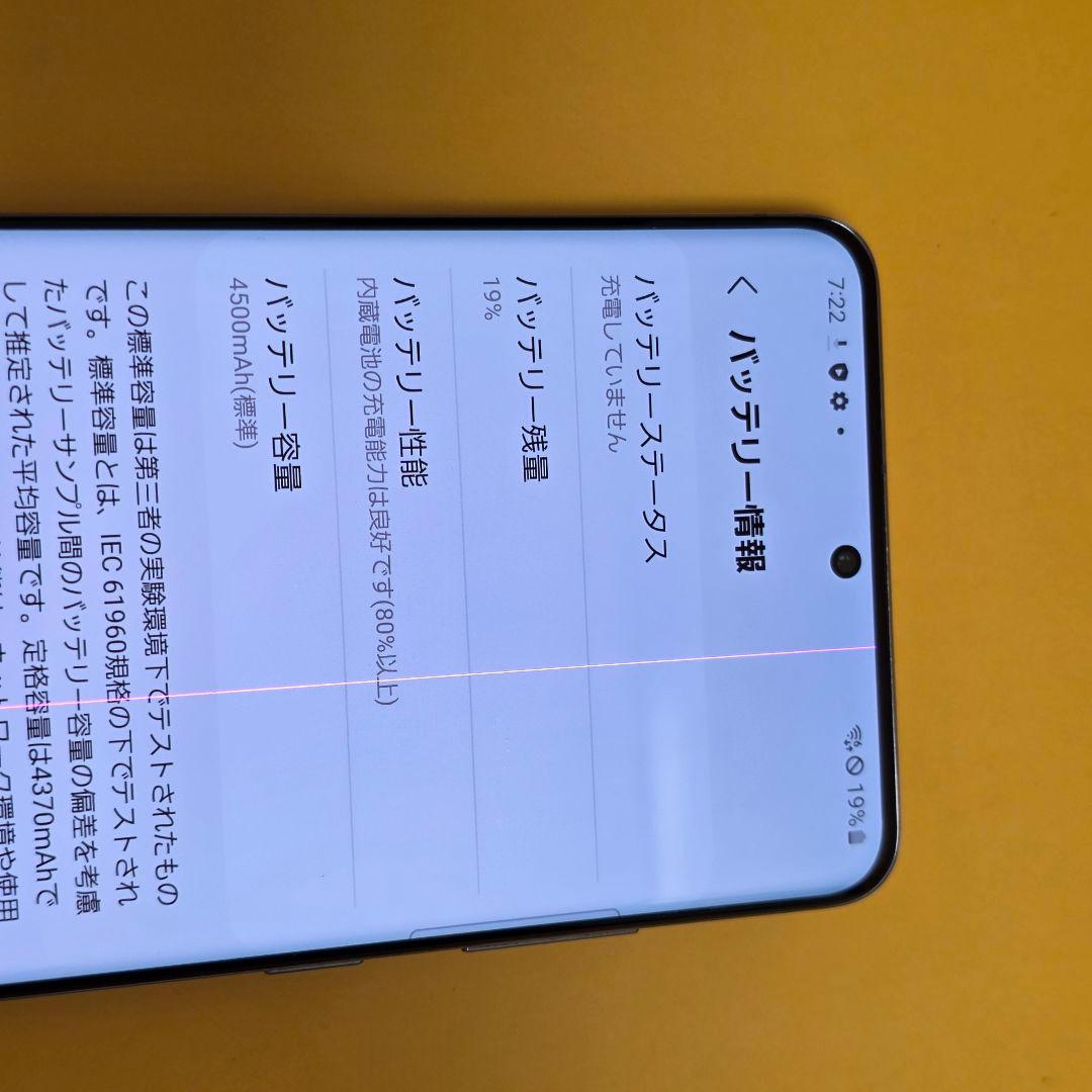 Samsung Galaxy S20＋5G│24時間以内発送#916