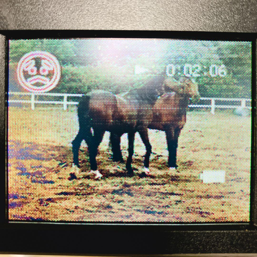 ビデオカメラ SONY Video8 Handycam CCD-TRV11