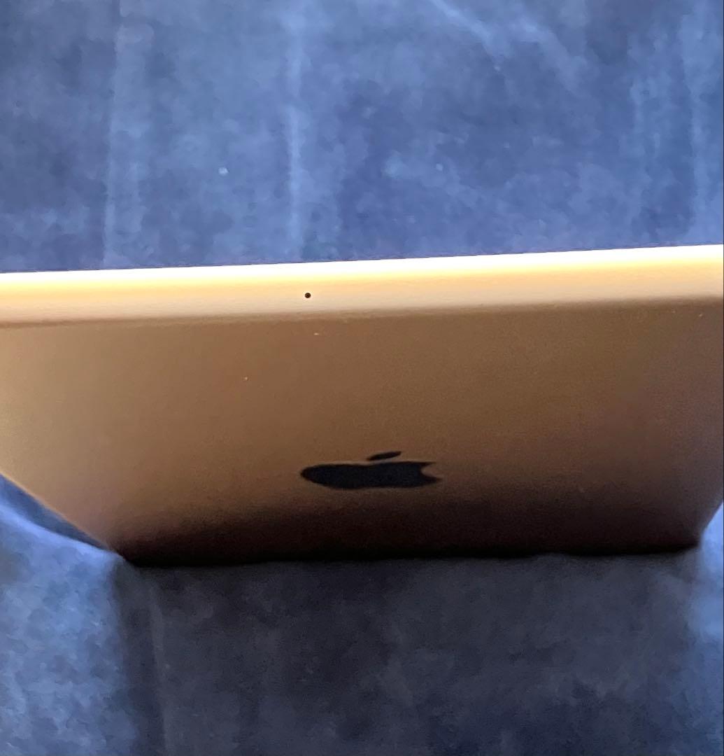 【美品】iPad mini 第5世代　WiFiモデル　ローズゴールド 64gb