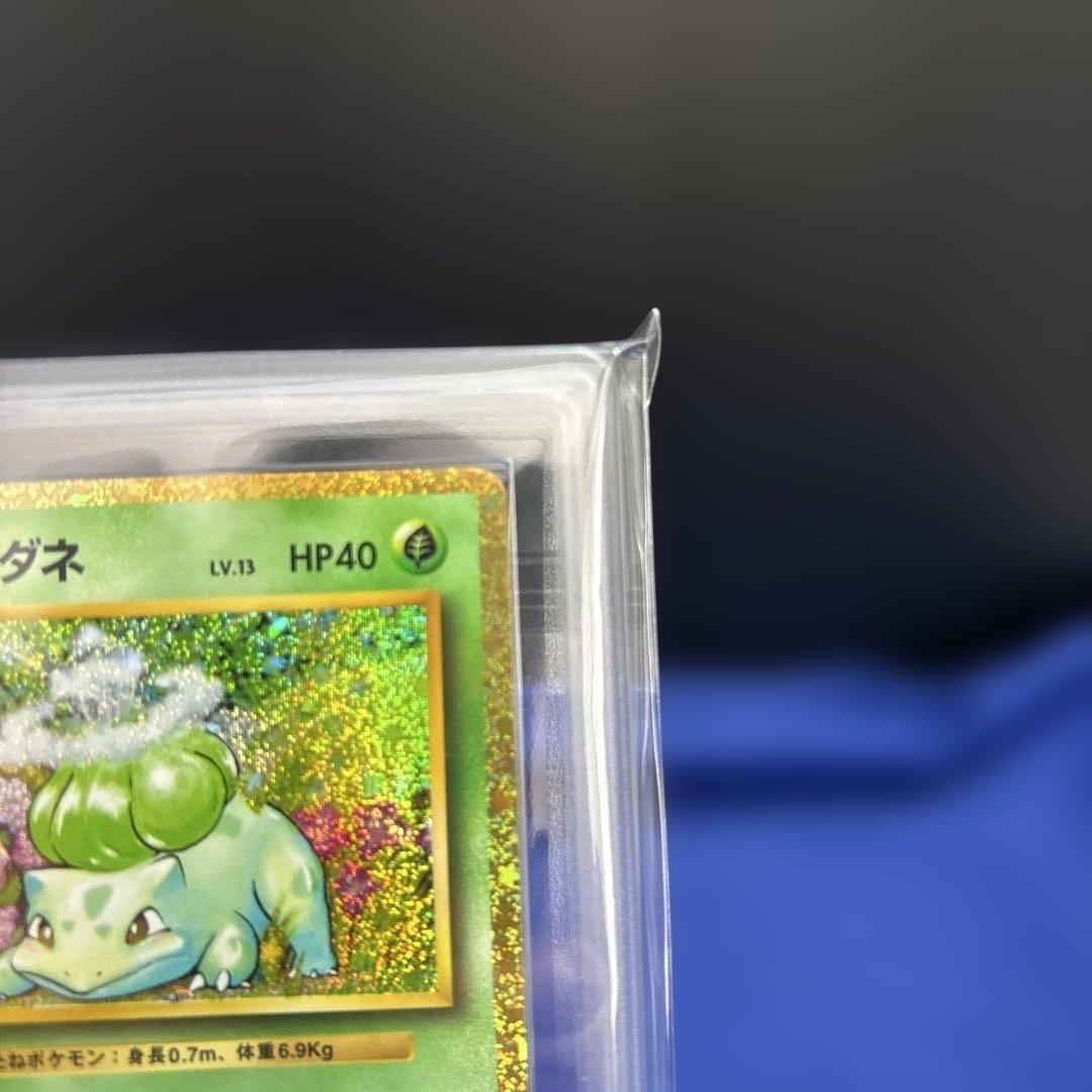 【ポケモンカードclassic ARS10 3枚】フシギバナ進化ライン 鑑定書付