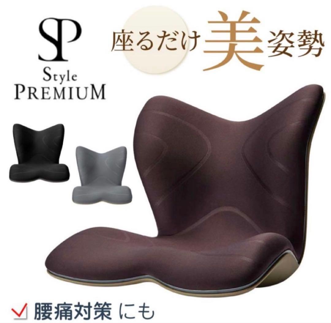 『美品 』MTG スタイル プレミアム 姿勢補正 骨盤サポートチェア 座椅子