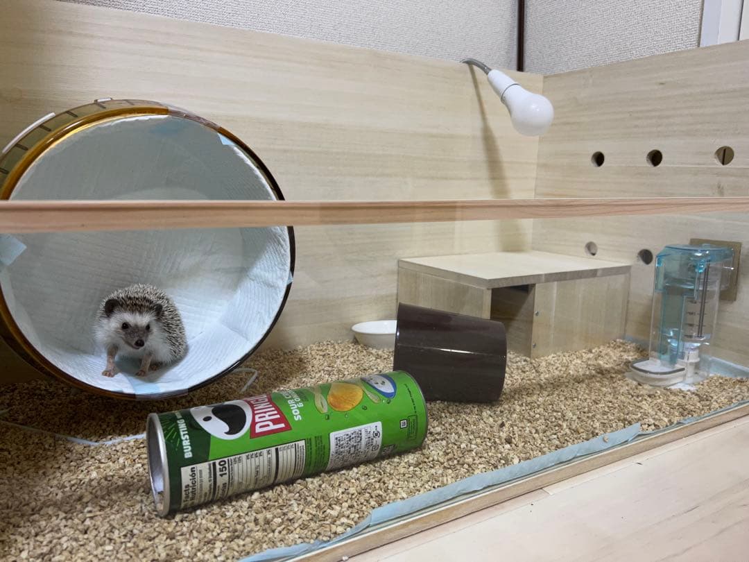 ハリネズミ　ハムスター　小動物　90cm 木製中型ケージ 回し車・暖房付き