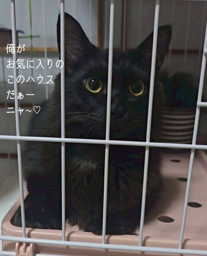 美品ピンク3段 キャットケージ DCペットケージ ~ ^ ̳ᴗ ̫ ᴗ ̳^♡