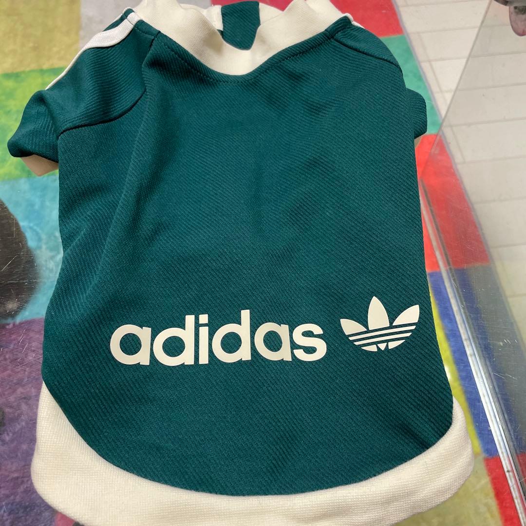 adidasペット服