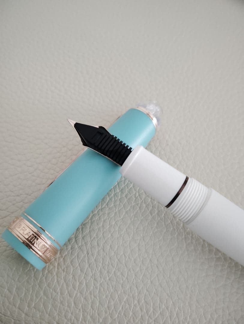 【美品】ブルーバード センチュリー EF 極細 プラチナ万年筆 付属品完備