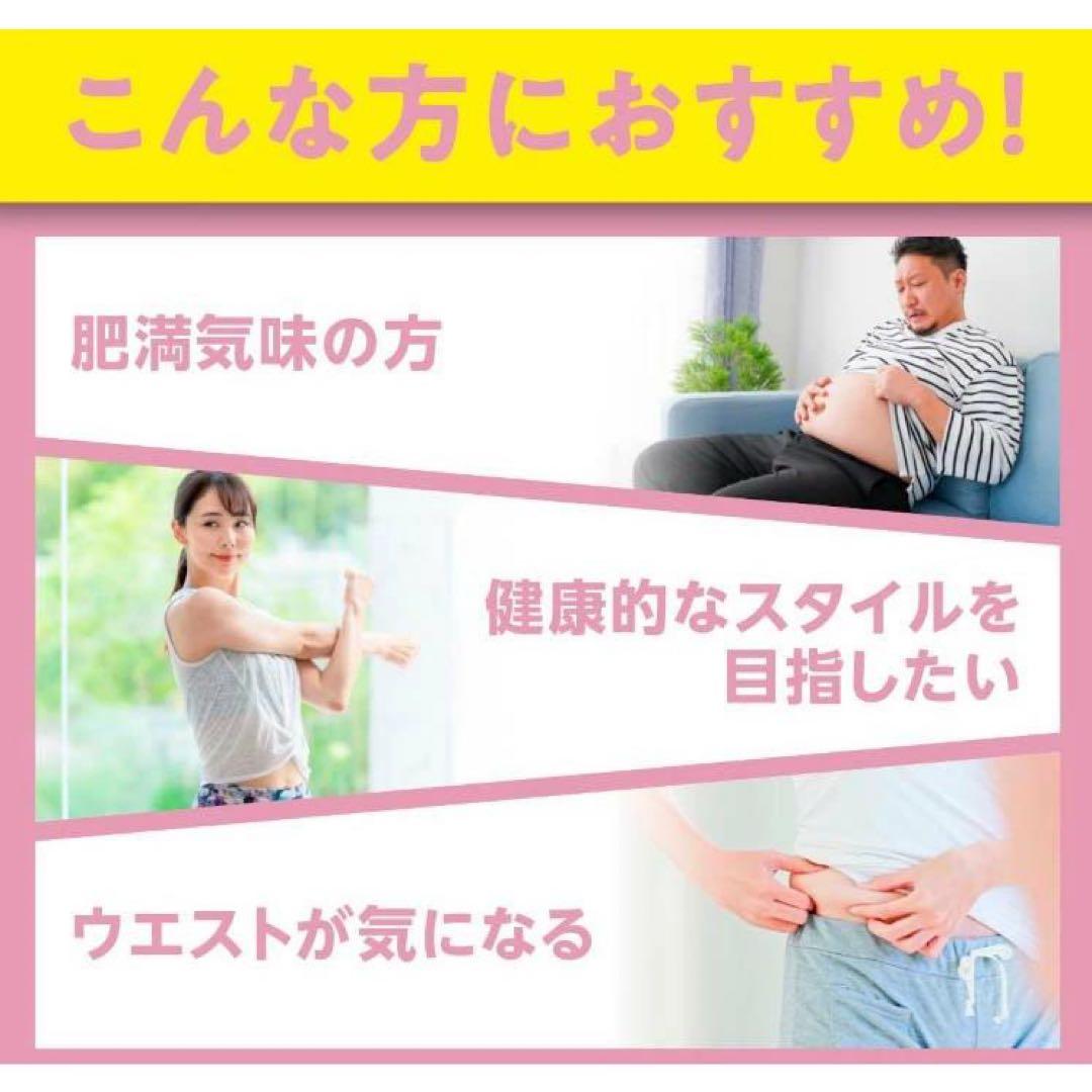 【新品】DHC ディーエイチシー ウエスト気になる 20日分 6袋 120日分