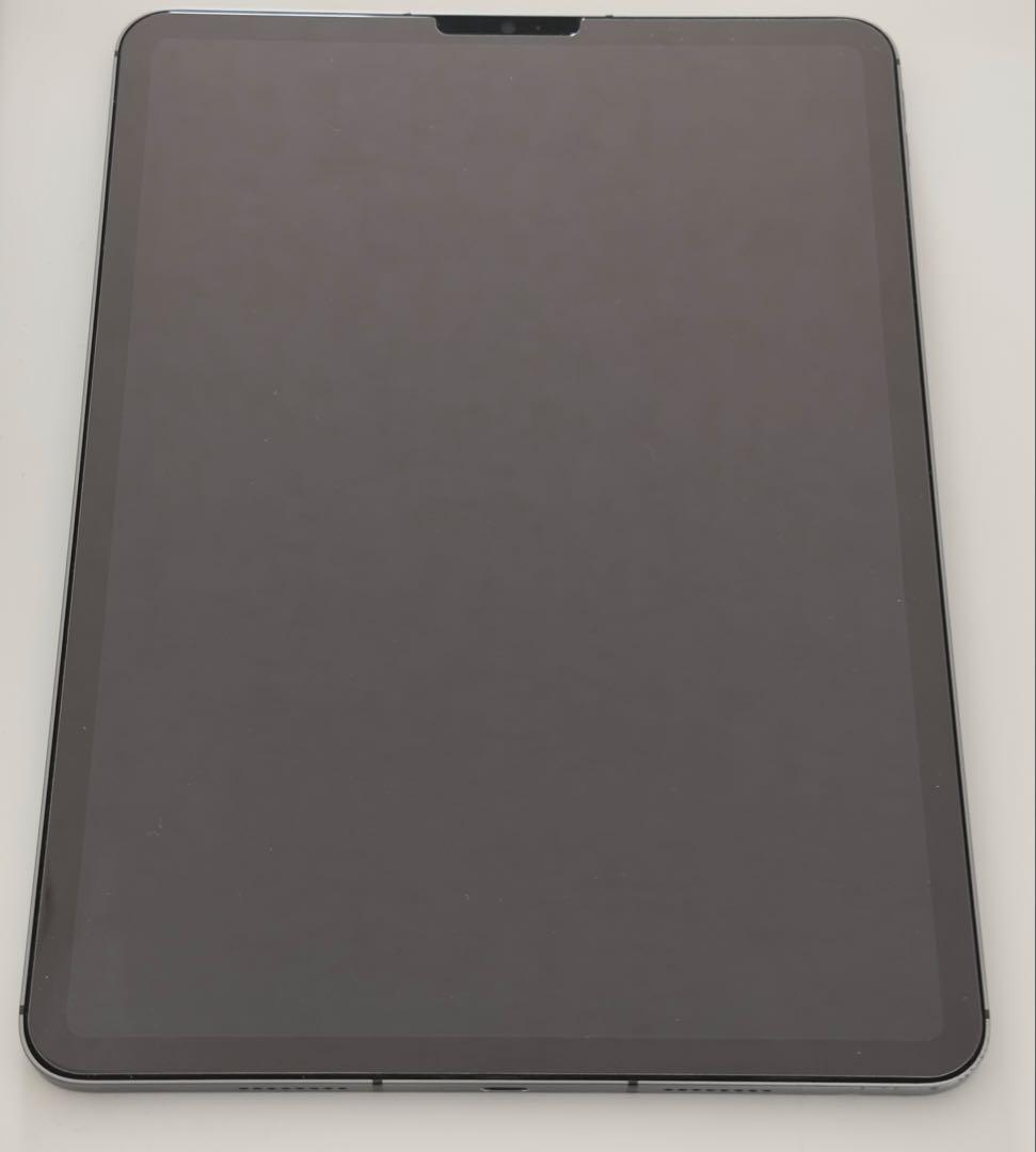 2TB iPad Pro 11インチ M1 cellular 16GB